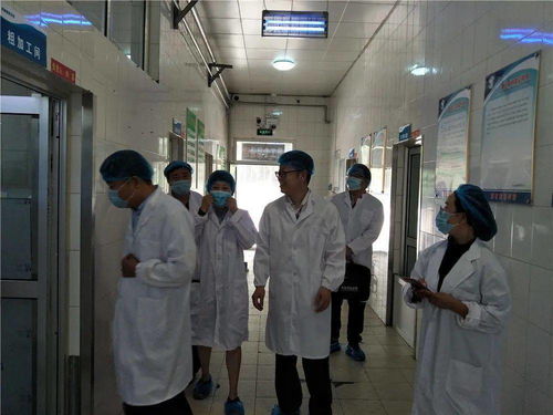 食品安全 學(xué)校餐飲服務(wù)食品安全等級獲評a級 濟(jì)南旅游學(xué)校食品安全順利通過市級專項(xiàng)檢查