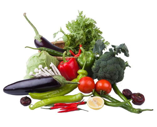 合理膳食,免疫基石 錦州醫(yī)科大學(xué)附屬第一醫(yī)院臨床營養(yǎng)師李晶晶為您講解